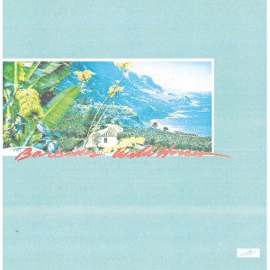 Barbados Wild Horses