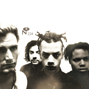 Butterflies Don't Go Away (Clear Vinyl)