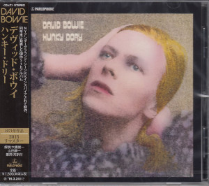 Hunky Dory