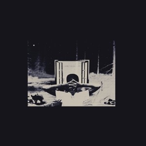 I Don't Like Shit, I Don't Go Outside