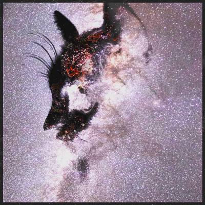 Keep Faith In The Algorithm