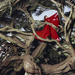 Nested In Tangles (Red Vinyl)