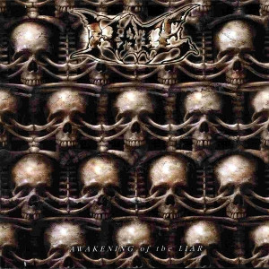 Awakening of the Liar (Fire Colored Vinyl)