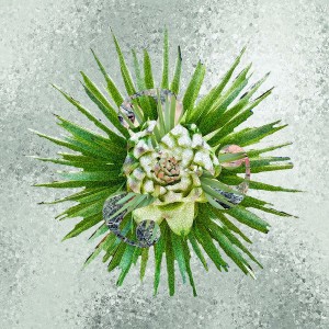 How??? (Clear Vinyl)