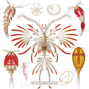 Hyperspace Is the Place / Hyperspace Is No Place