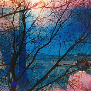 Idlewild (Coolblue Vinyl)