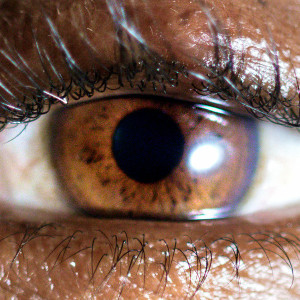 It’s Dreaming (White Vinyl)