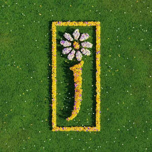 Nothing but Love: The Definitive Best Of