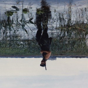 Animal Drowning (Pink Vinyl)