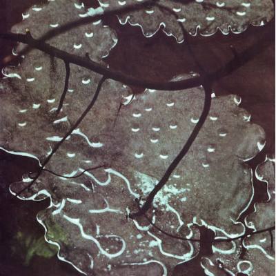 Armaghedon (Smoke Vinyl)