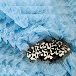 Liquid Compactor (Clear Vinyl)