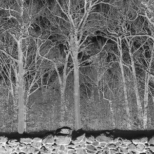 Sunshine And Balance Beams