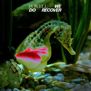 We Do Recover (Clear Vinyl)