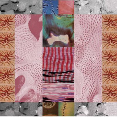 Live At Sesc Pompeia