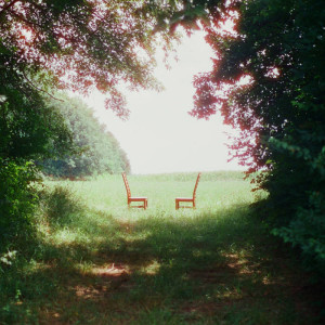 Singin’ to an Empty Chair (Green/Brown Vinyl)