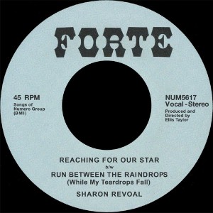 Reaching For Our Star b/w Run Between The Raindrop (Clear Vinyl)