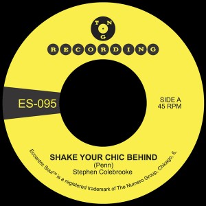 Shake Your Chic Behind b/w Stay Away From Music