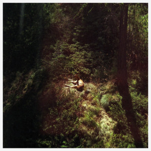 Sings Again (Clear Vinyl)