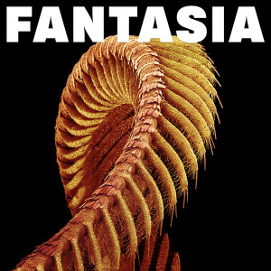 Fantasia (Starlight Vinyl)