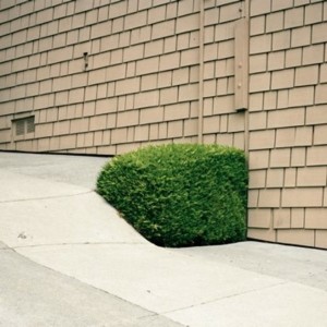 Soft Power (Green Vinyl)