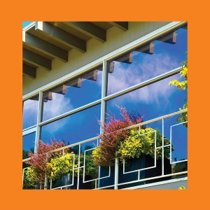 Still Clouds At Noon (White Vinyl)