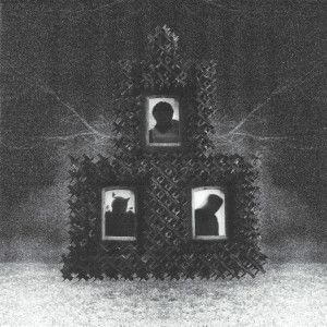 The Soft Apocalypse (Cloud Vinyl)