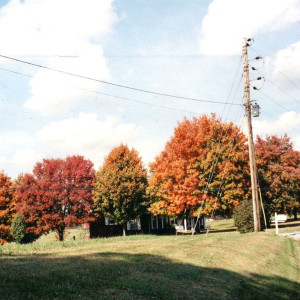 Things Are Gonna Be Alright (Red Vinyl)