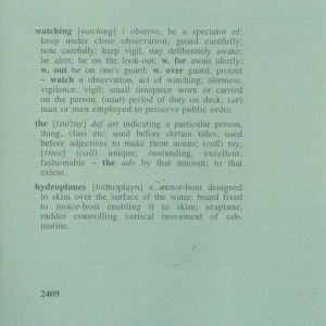 Watching The Hydroplanes